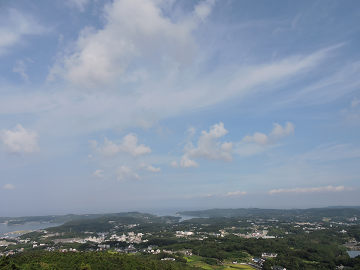 景