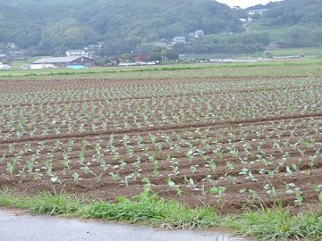 景1