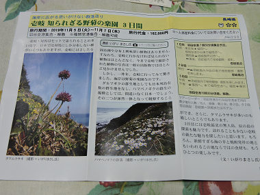 花1