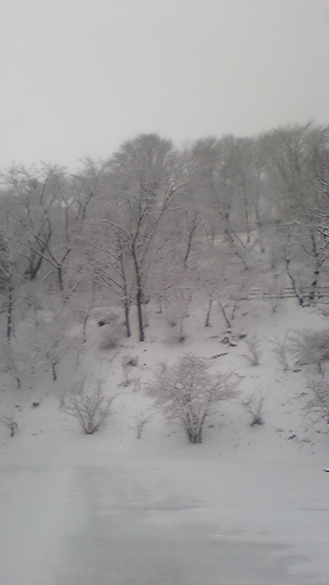 100309_170555.jpg