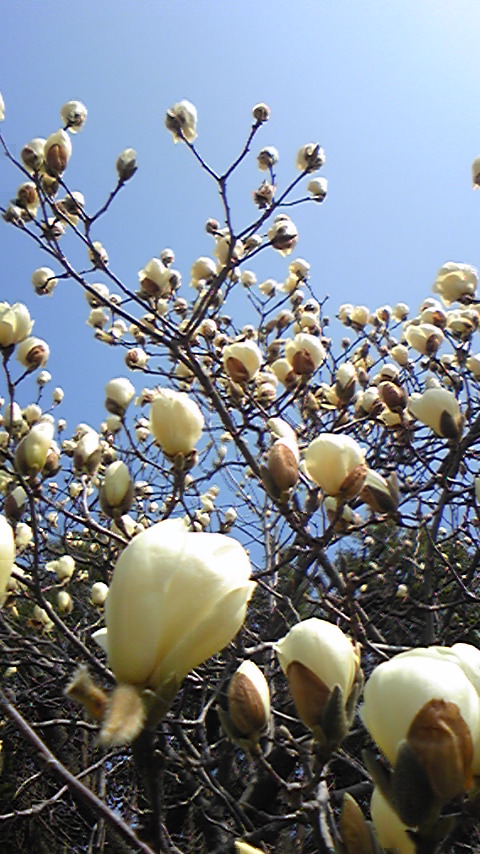 100320_111352.jpg