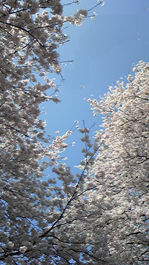 100411_114850.jpg
