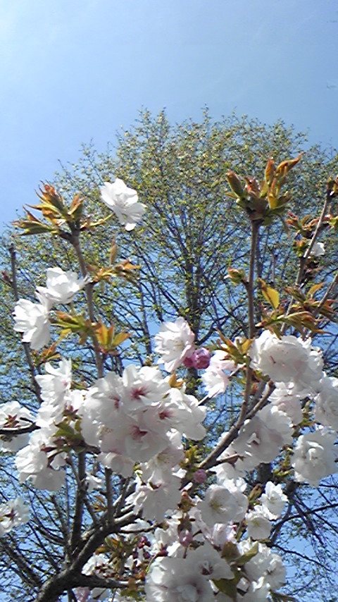 100421_104707.jpg