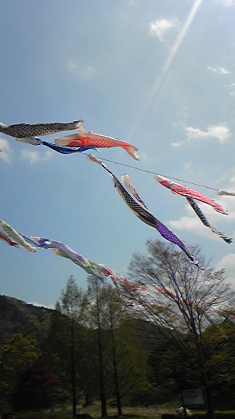 100430_125221.jpg
