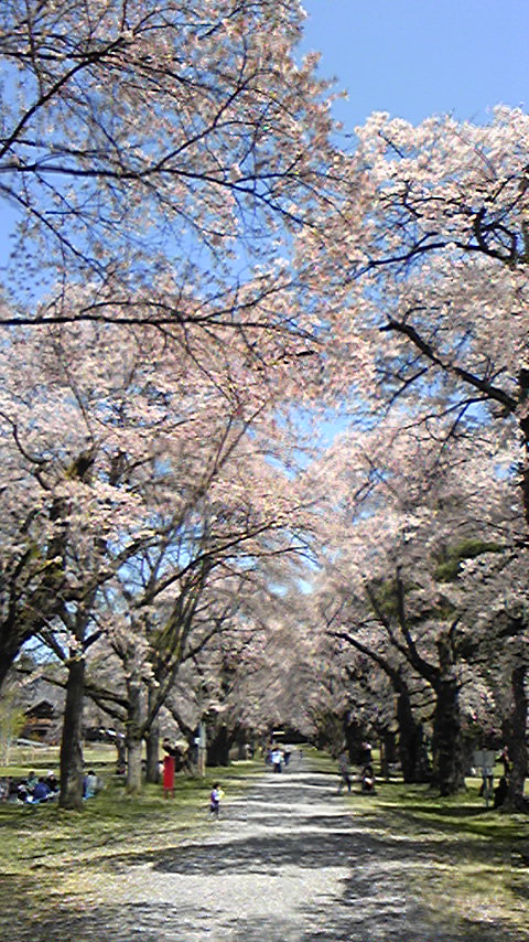 100503_130159.jpg