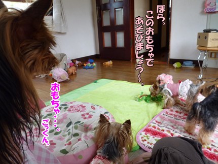 P1240445.JPG