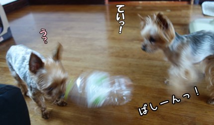 DSC02376.JPG