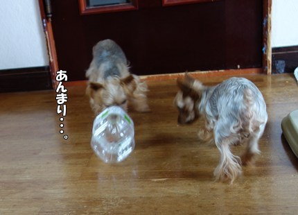 DSC02399.JPG
