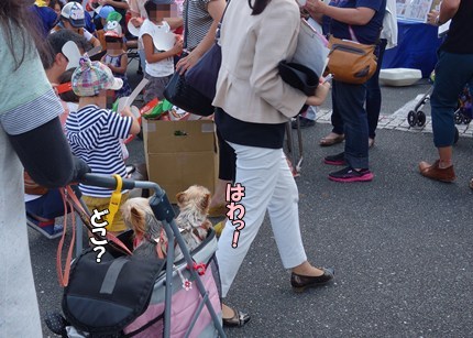DSC02894.JPG