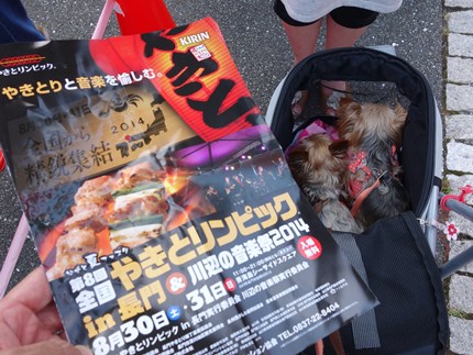 DSC02909.JPG