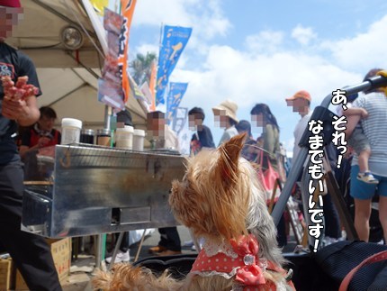 DSC02917.JPG