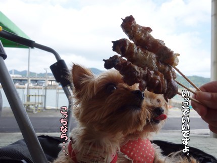 DSC02934.JPG
