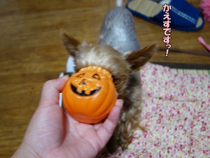 DSC07009.JPG