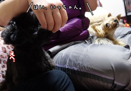 DSC08850.JPG