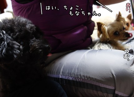 DSC08851.JPG