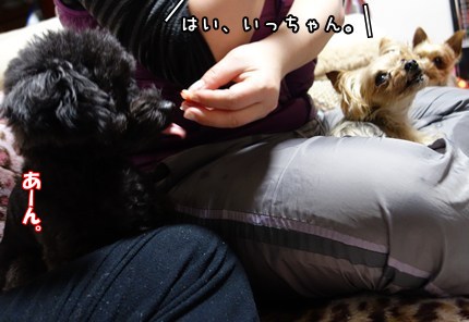 DSC08852.JPG