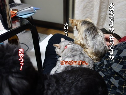 DSC08932.JPG