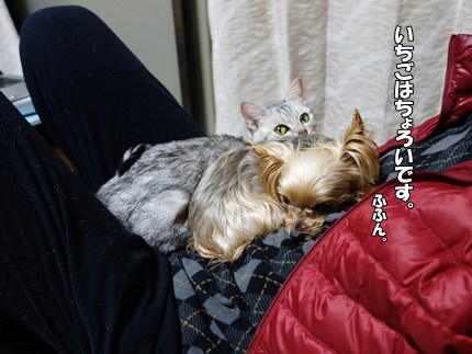 DSC08934.JPG