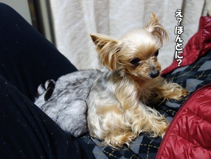 DSC08938.JPG