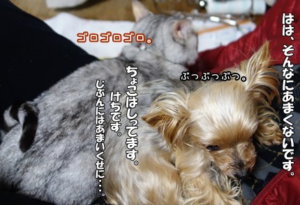 DSC08943.JPG