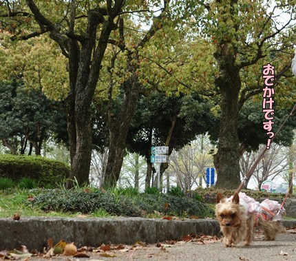 DSC09124.JPG