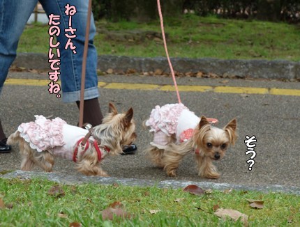 DSC09129.JPG
