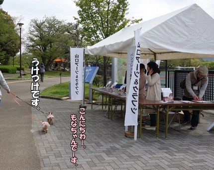DSC09135.JPG