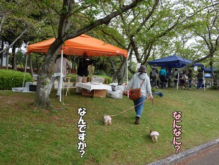 DSC09138.JPG