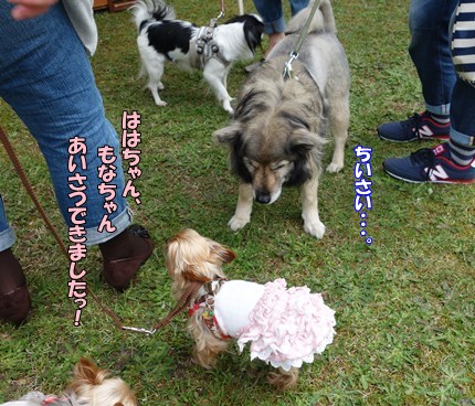 DSC09159.JPG
