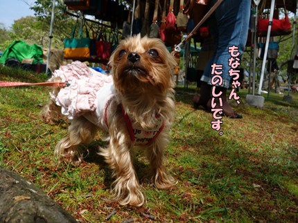 DSC09168.JPG