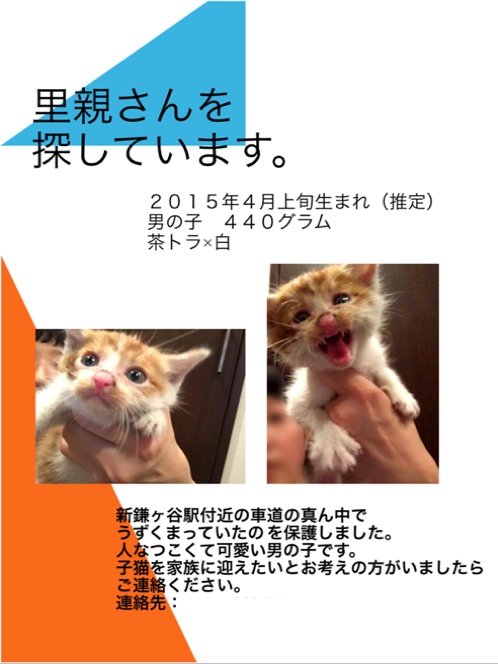 fc2blog_201505191641483b8.jpg