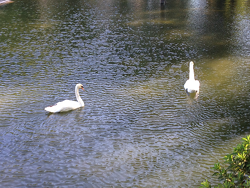 2014-0806-公園-1