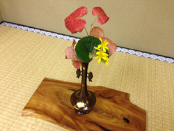 2014-1105-hana