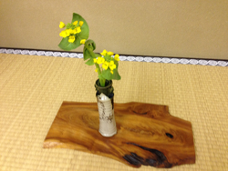 2015-0401-お花