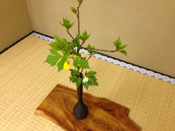2015-0415-お花