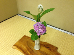 2015-0701-お花