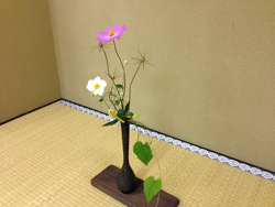 2015-1007-花-2