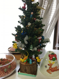 2017-1227-merry