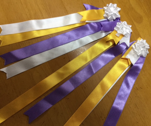 FullSizeRender (23)ribon1.jpg