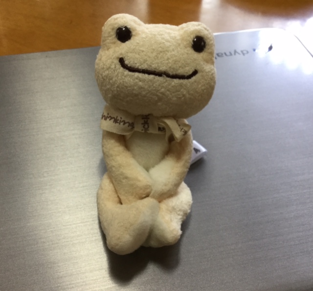 FullSizeRenderkaeru2.jpg