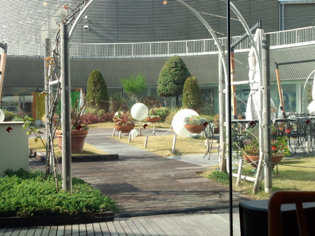 DSC_0899.jpg