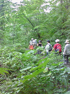 200708231402000.jpg