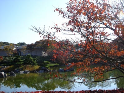 文化ゾーン