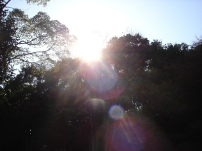 太陽02
