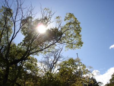 宮島12