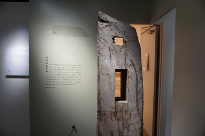 DSC07247.JPG