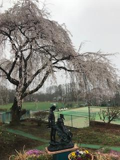 IMG_8776.jpg