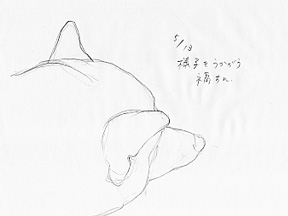 ¥¹¥±¥Ã¥Á¢