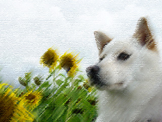 Photoshopで加工