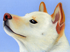 ¸÷Óû¤¯¤ó£